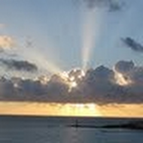 Meet your Posher, Gabriella - Picture 1 of 1